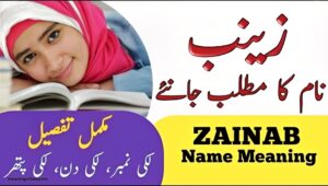 the-word-zainab-meaning-in-arabic-with-examples
